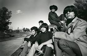  pertanyaan Mark And The Mysterians