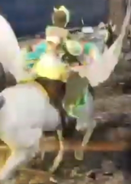  Sanzang riding an Beautiful Pegasus