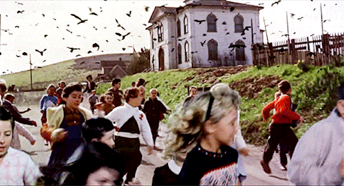 School Scene Form Alfred Hitchcock's "The Birds" - Suspense Movies Fan Art  (43586489) - Fanpop