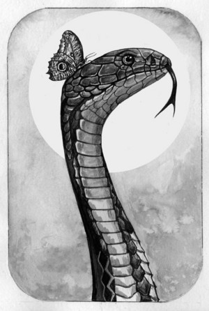 Snake ♦️ প্রজাপতি