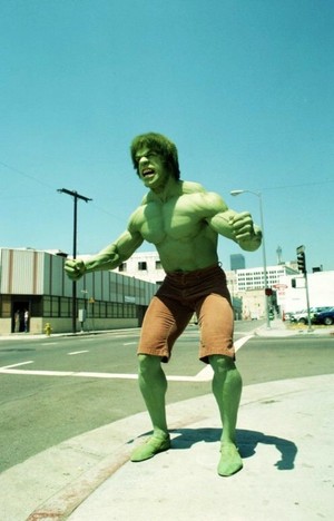  The Incredible Hulk (1978 - 1982) Lou Ferrigno