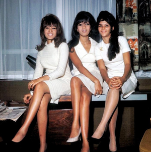  The ronettes