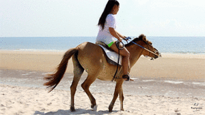 Araya in Stockings on her little Beach Pony