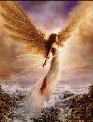  Beautiful angeli 💜