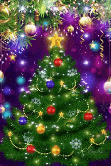 Beautiful Christmas Tree For Romy ❄️❄️