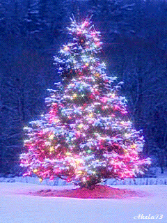  Beautiful Natale ❄️🎄