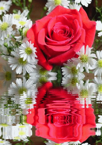 Beautiful Flowers 🌸 - SUNNY LIFE OF NATURE AND ANIMALS🕊️🌸 Fan Art  (43631683) - Fanpop