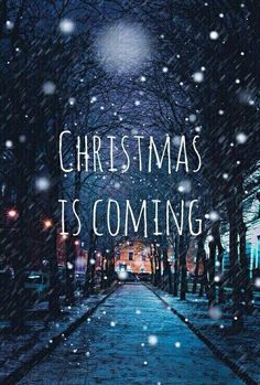  Natale 🎄