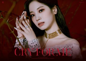 Cry for Me - Concept Photo