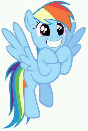  Dashie is excited