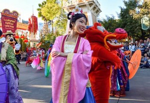  Disney Princess Mulan And Mushu