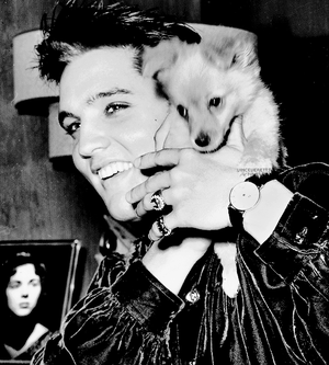  Elvis And His Dog