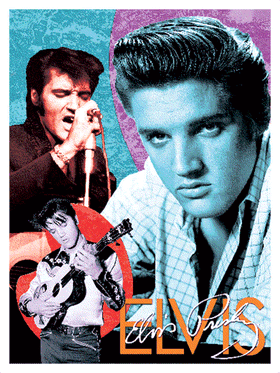  Elvis Sparkles💛