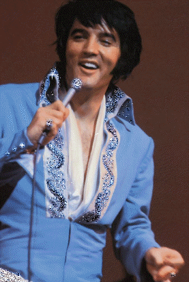  Elvis Sparkles 🧡
