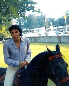  Elvis With cavalos 🌹
