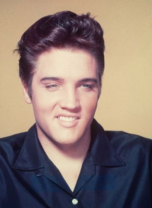 Elvis 🧡