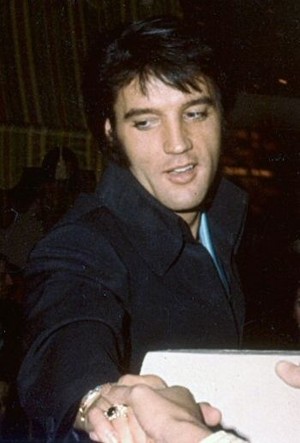  Elvis 🧡 (rare)