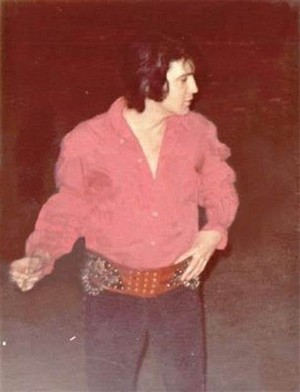  Elvis 🌹 (very rare)