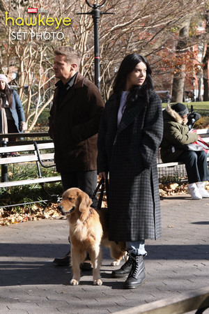 Hawkeye || Hailee Steinfeld, Jeremy Renner, and Lucky the Pizza Dog || BTS