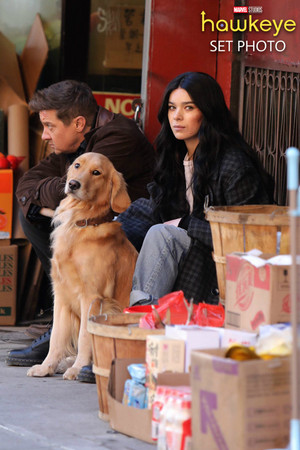  Hawkeye || Hailee Steinfeld, Jeremy Renner, and Lucky the пицца Dog || BTS
