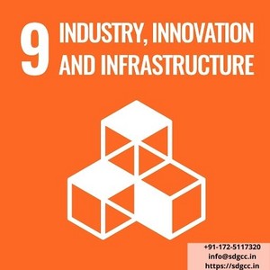  Industry Innovation and Infrastructure in Haryana