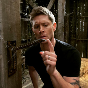  Jensen Ackles: Excuse me...uh “set dec”!!! Can we get this removed please?!?!