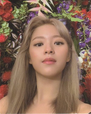  Jeongyeon - Photocards