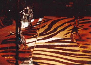  किस ~Dayton, Ohio...December 13, 1984 (Animalize World Tour)