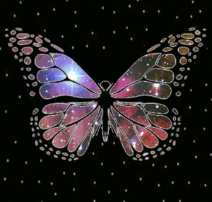  Pretty Butterflies 💜
