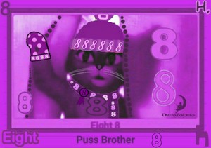  Puss Brother