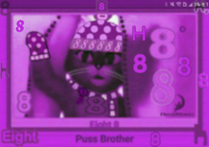  Puss-Brother