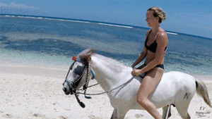 She fell in love with this little white beach horse
