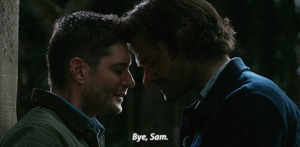  Supernatural || Carry On || 15.20 ♡