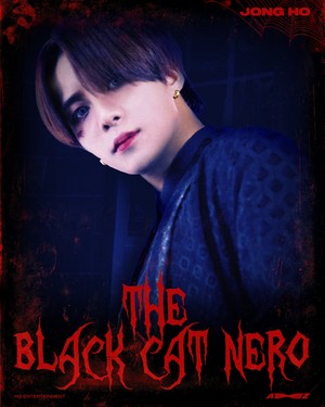  The Black Cat Nero