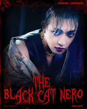  The Black Cat Nero