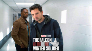  The halcón and the Winter Soldier