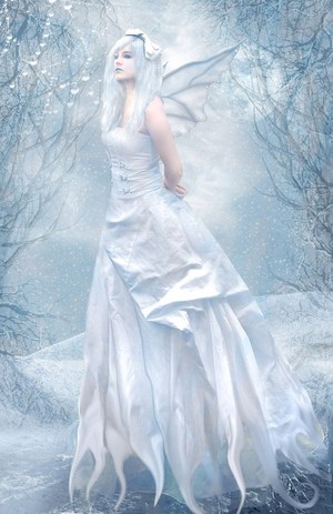 Winter Fairies ❄️