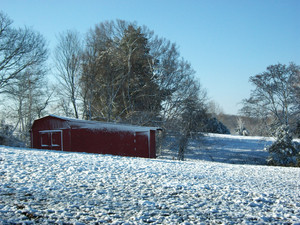 Winter on the Farm ❄️