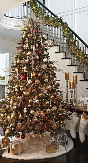 beautiful christmas trees 🎄🎁🎅