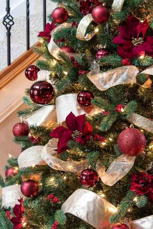  beautiful クリスマス trees 🎄🎁🎅