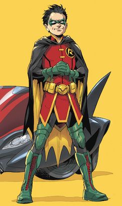  *Robin*