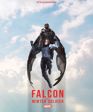  *The falke, falcon and the Winter Soldier*