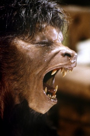  An American Werewolf in ロンドン (1981)