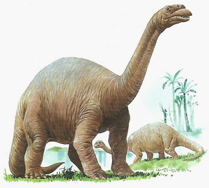  Apatosauro/Brontosauro di Tony 狼, オオカミ