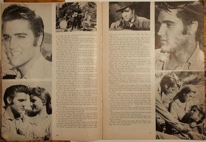 Article Pertaining To Elvis Presley