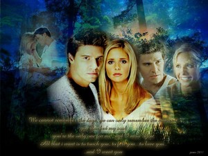 Buffy/Angel Wallpaper - You Touched My Soul