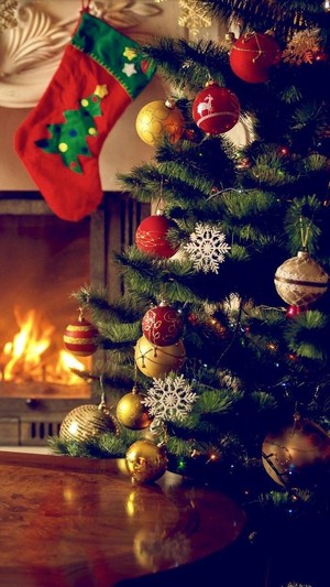 Christmas Vibes 🎄🎅🎁🎀