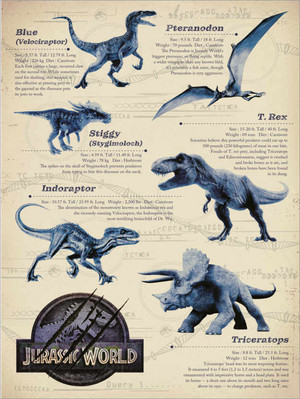  Dinosaur info sheet