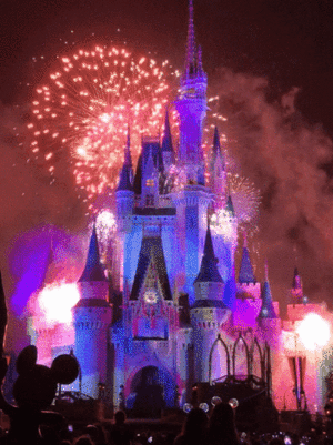  Disney Fireworks