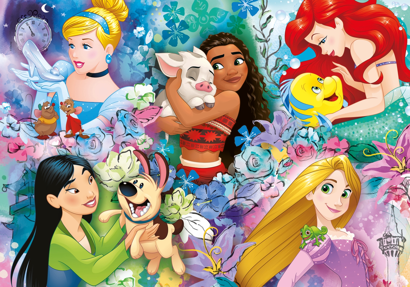 Disney Princesses - Disney Princess Photo (43716846) - Fanpop